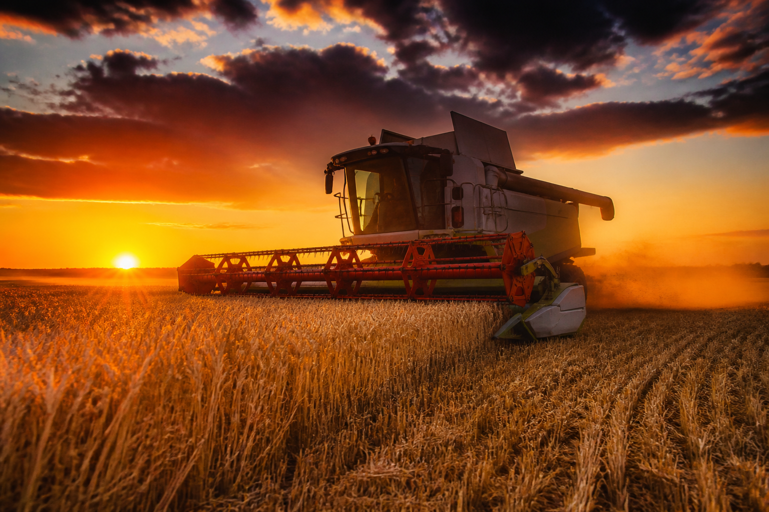 The Squeeze on the Soil: Assessing the Global Divergence in Agrifood Economics